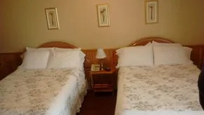 Mackenzie Motel & Cottages - Room