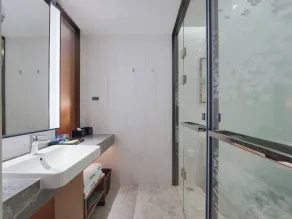 Hampton by Hilton Hebi Henan - Bathroom