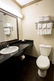 Merit Hotel & Suites - Badeværelse