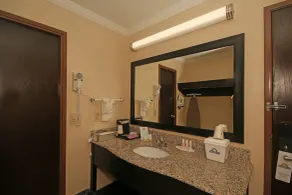 Comfort Inn Asheville East-Blue Ridge Pkwy Access - Chambre