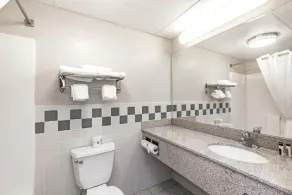 MountainView Lodge and Suites - Salle de bain