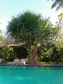 Ubad Retreat - Pool