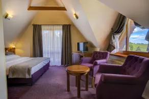 Hotel REDYK Ski&Relax - góry na wyciągnięcie ręki - Chambre