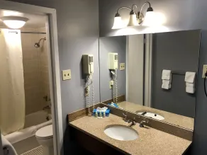 Econo Lodge Auburn I-95 - Bathroom