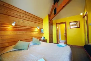 Bryn Elltyd Eco House - Room