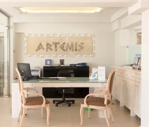Artemis Hotel Apartments - Resepsjon