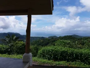 Hotel Peace & Lodge - View from room