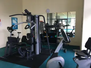 Milson Serviced Apartments - Gimnasio