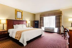 Precious Hotel - Chambre