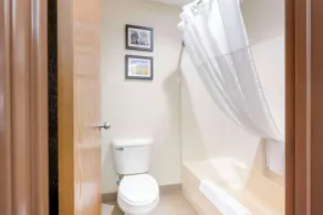 Comfort Inn Lexington - Bad