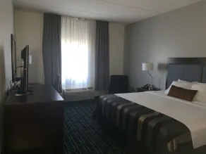 Wingate by Wyndham Fletcher at Asheville Airport - Chambre