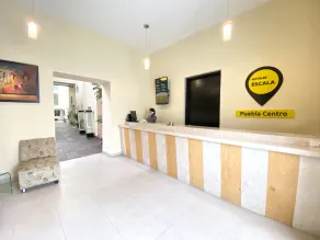 Hotel Escala Puebla Centro - Receção