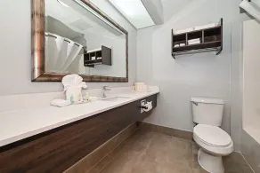 Quality Inn & Suites Matthews - Charlotte - Bathroom