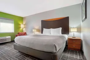 Quality Inn & Suites Birmingham - Highway 280 - Chambre