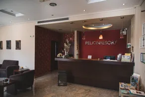 Hotel Pelion Resort - Rezeption