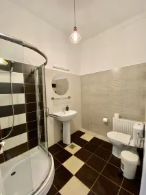 Casa Balcescu - Bathroom