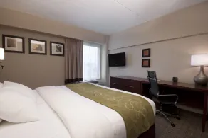 Comfort Suites at Woodbridge - Chambre