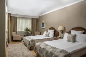 Altinel Ankara Hotel & Convention Center - Chambre