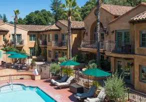 Hotel Los Gatos - Piscine