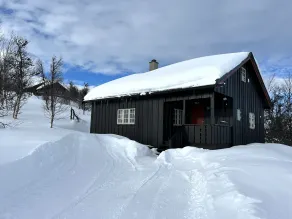 Torsetlia - Værelse