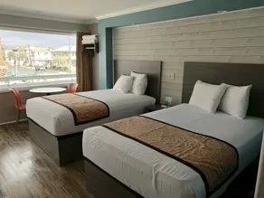 Dolphin Inn - Room