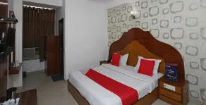 OYO 14710 Hotel Pallvi palace - Room
