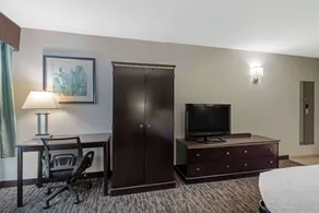 Best Western Plus Chicagoland - Countryside - Rum