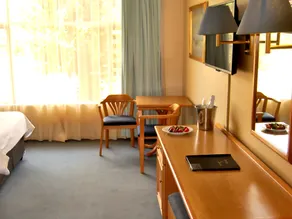 Safari Hotel & Convention Centre - Room