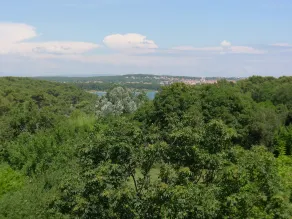 Apartment for 3 Persons in Quiet Part of Premantura With Beautiful Garden and Partial sea View - Ausblick vom Zimmer