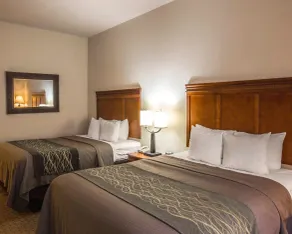 Comfort Inn & Suites Rogersville - Quarto