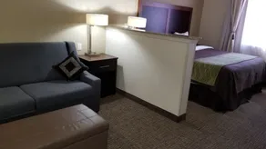 Comfort Inn & Suites Lakeside - Chambre