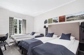 Frich's Hotell og Spiseri Alvdal - Værelse