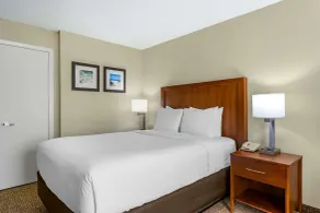 Comfort Inn & Suites St Pete - Clearwater International Airport - Chambre