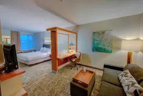 SpringHill Suites by Marriott Macon - Chambre