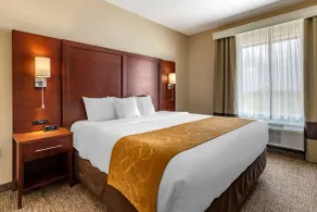 Comfort Suites Kyle - Chambre