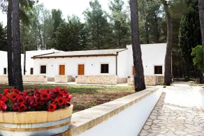 WINE RESORT LE VIGNE AL CASTELLO - Udsigt fra værelset