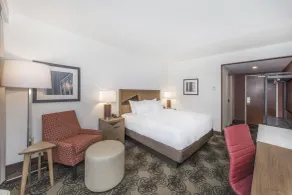 DoubleTree by Hilton Raleigh - Cary - Chambre