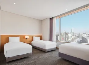 Sotetsu Hotels The Splaisir Seoul Dongdaemun - Camera