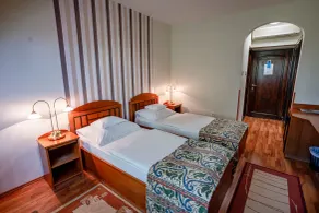 Hotel Erzsébet - Værelse