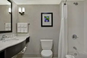 Hilton Garden Inn Fayettevile - Salle de bain