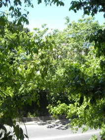 B&B Il Granello Di Senape - Ausblick vom Zimmer