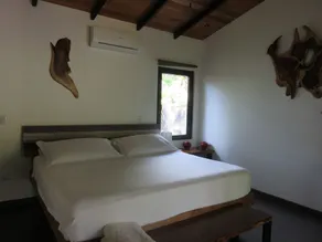 Oasis de las Palmas - Habitación