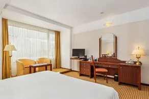 Hotel Aro Palace - Room