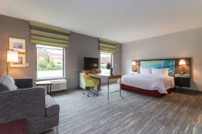 Hampton Inn & Suites Allen Park - Chambre