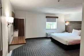 Ramada by Wyndham Lithia Springs Atlanta - Chambre