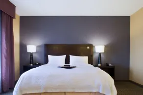 Hampton Inn & Suites Vineland - Chambre