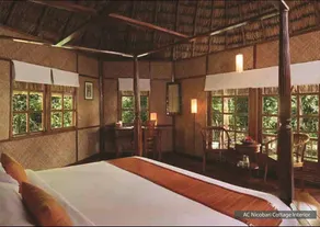 The Barefoot At Havelock - Rom