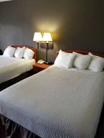 Days Inn by Wyndham Wilson - Chambre