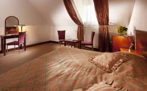 Hotel Concertino Zlatá Husa - Habitación