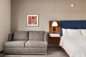 Hampton Inn & Suites Norman Conference Center Area - Chambre